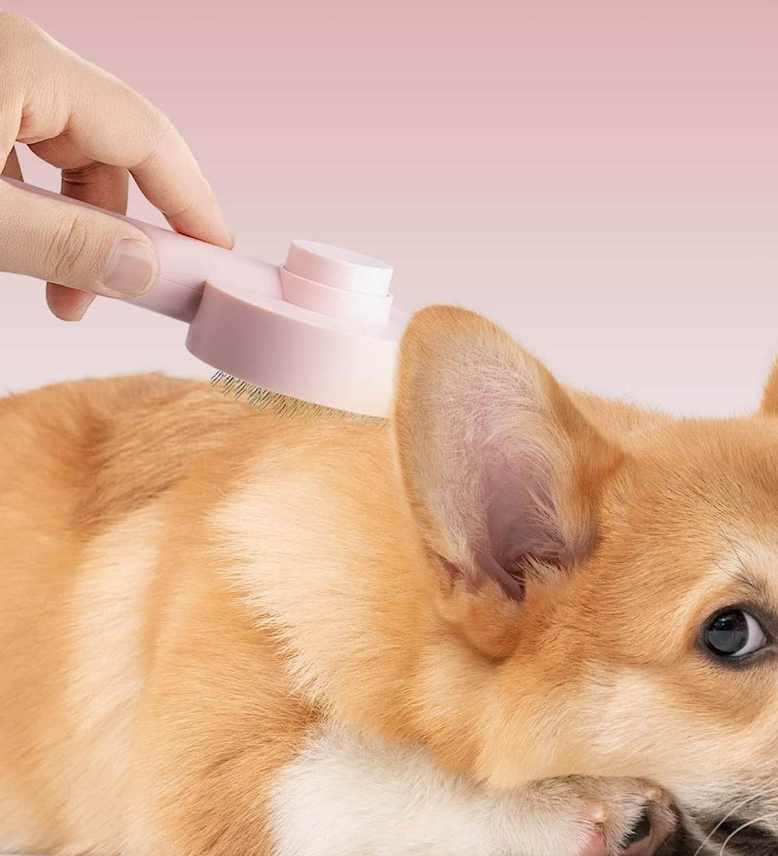 The Ultimate Pet Hair Remover Brush for Pets™