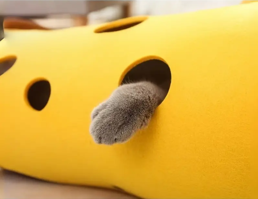 Not Your Ordinary Cat Tunnel™