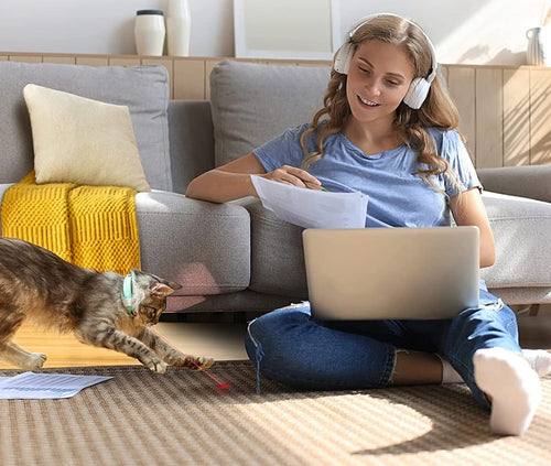 Cat Fun Laser Collar™