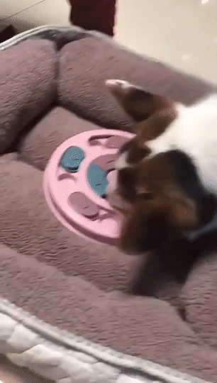 Interactive Dog Puzzle Feeder™